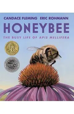 Honeybee: The Busy Life of APIs Mellifera - Candace Fleming
