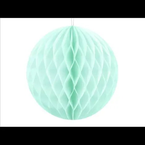 Honeycomb mint 10 cm