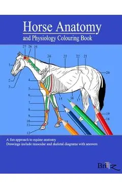 Horse Anatomy and Physiology Colouring Book: A Detailed Guide to Equine Anatomy with Answers Perfect Gift for Veterinary Students, Animal lovers, Adul - Alejandro Bath