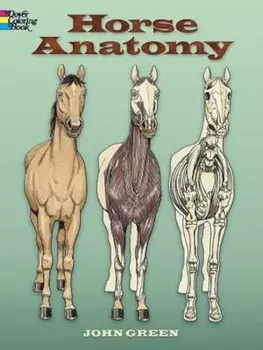 Horse Anatomy, Paperback/John Green