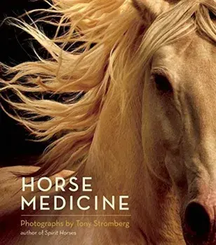 Horse Medicine, Hardcover/Tony Stromberg