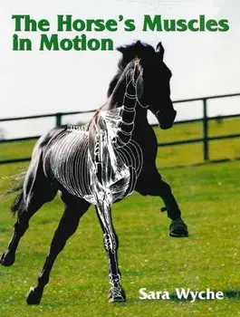 Horse's Muscles in Motion, Paperback/Sara Wyche