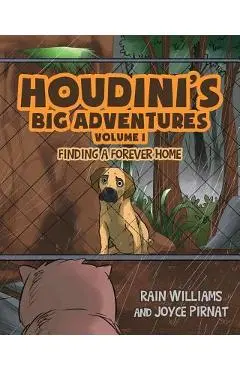Houdini's Big Adventures: Finding a Forever Home - Rain Williams