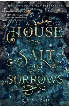 House of Salt and Sorrows - Erin A. Craig