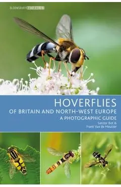 Hoverflies of Britain and North-west Europe - Sander|meutter Bot