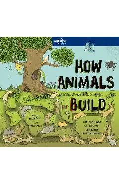 How Animals Build - Lonely Planet Kids