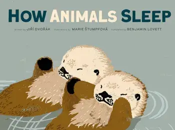 How Animals Sleep, Hardback/Jiri Dvorak
