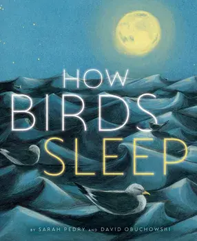 How Birds Sleep, Hardcover/David Obuchowski