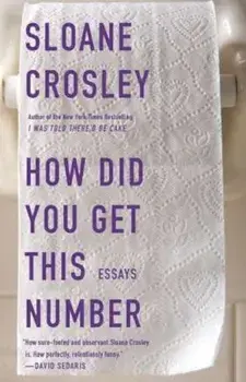 How Did You Get This Number, Paperback/Sloane Crosley
