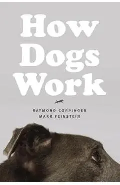 How Dogs Work