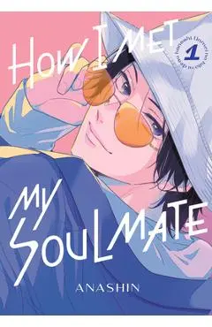 How I Met My Soulmate 1 - Anashin