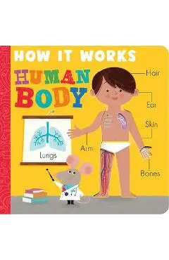 How It Works: Human Body - Amelia Hepworth