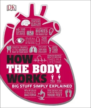 How the Body Works/***