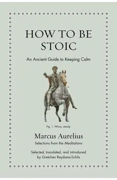 How to Be Stoic: An Ancient Guide to Keeping Calm - Gretchen Reydams-schils