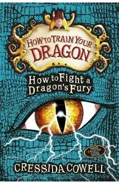 How to Fight a Dragon's Fury