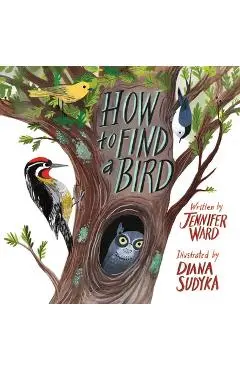How to Find a Bird - Jennifer Ward