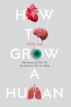 How to Grow a Human. Reprogramming Cells and Redesigning Life, Paperback/Philip Ball