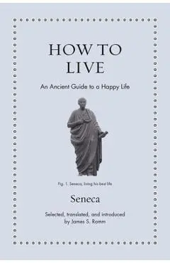 How to Live: An Ancient Guide to a Happy Life - James S. Romm