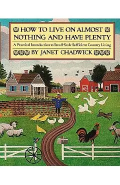 How TO LIVE ON ALMOST NOTHING AND HAVE PLENTY: A Practical Introduction to Small-Scale Sufficient Country Living - Janet Chadwick