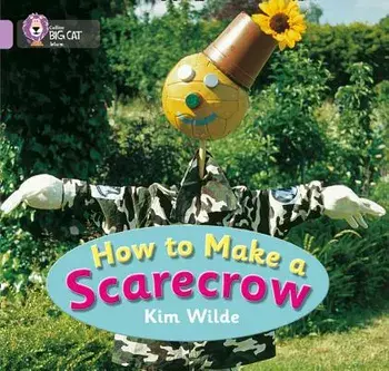 How to Make a Scarecrow, Paperback/Kim Wilde