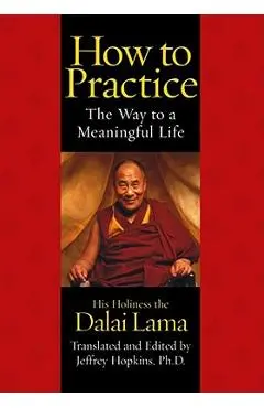 How to Practice: The Way to a Meaningful Life - Dalai Lama