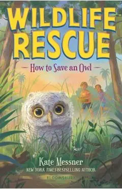 How to Save an Owl - Kate Messner