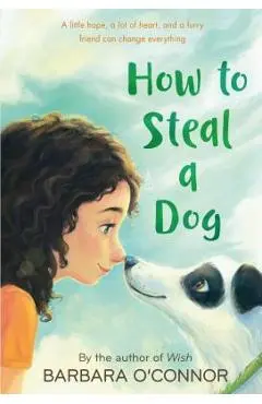 How to Steal a Dog - Barbara O'connor