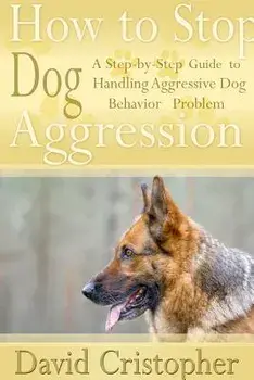 How to Stop Dog Aggression: A Step-By-Step Guide to Handling Aggressive Dog Behavior Problem, Paperback/David Christopher