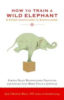 How to Train a Wild Elephant: And Other Adventures in Mindfulness, Paperback/Jan Chozen Bays