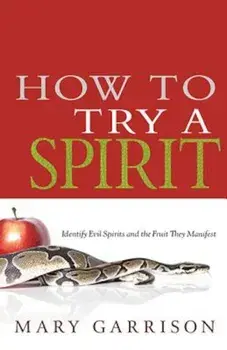 How to Try a Spirit, Paperback/Mary Garrison