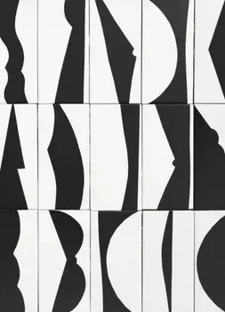 Howard Smith, Hardback/***