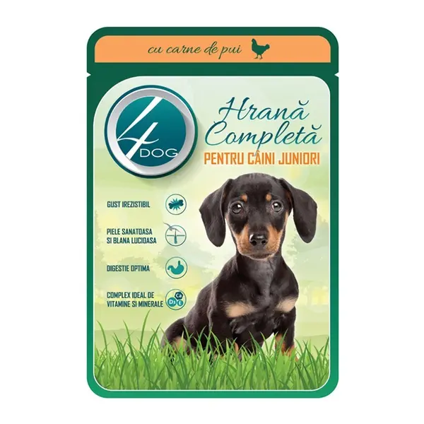 Hrana Umeda pentru Caini, 4 Dog, Junior, cu Pui, 100 g