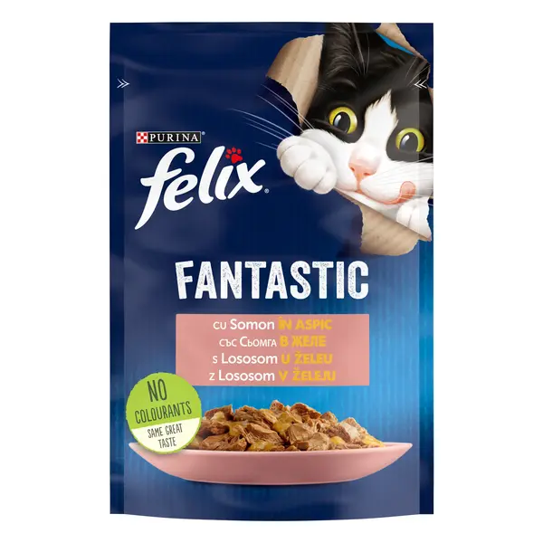 Hrana umeda pentru pisici Felix Fantastic Somon in Aspic, 85g 85g