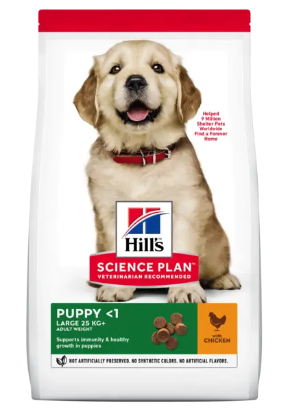 Hrana uscata caini, Hill's Science Plan Canine Puppy Large Breed Chicken, 14.5 kg