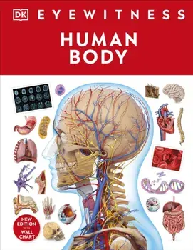 Human Body, Hardback/***
