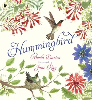 Hummingbird, Paperback/Nicola Davies