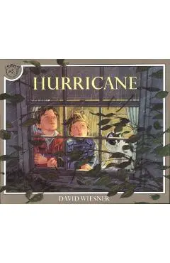 Hurricane - David Wiesner