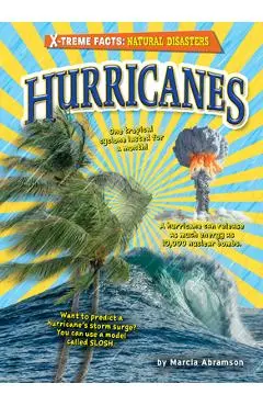 Hurricanes - Marcia Abramson
