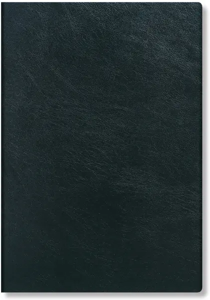 Husa Ipad Mini Carbon | Paperblanks