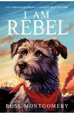I Am Rebel - Ross Montgomery