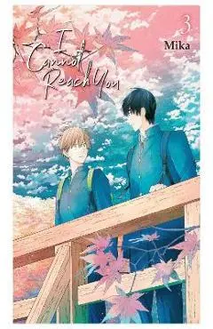 I Cannot Reach You, Vol. 3 - Mika