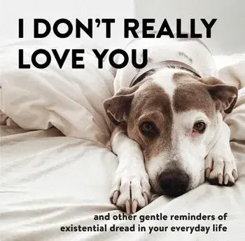 I Don't Really Love You: And Other Gentle Reminders of Existential Dread in Your Everyday Life, Hardcover/Alex Beyer