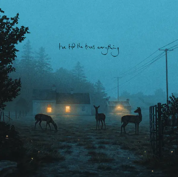 I've Told The Trees Everything - Vinyl (33 RPM) | Dermot Kennedy