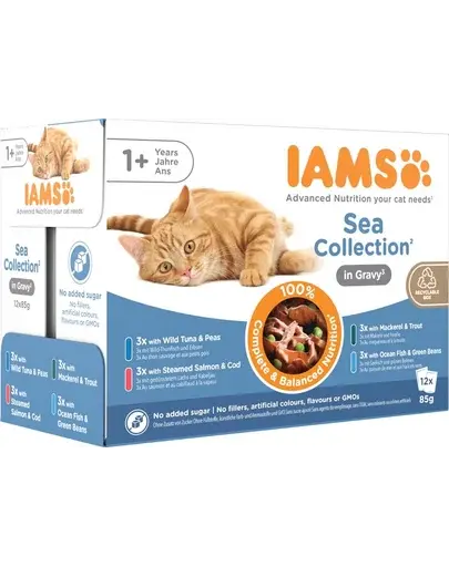 IAMS Cat Delights Adult All Breeds Sea In Jelly Pouch plic pisici 12x85 g în aspic