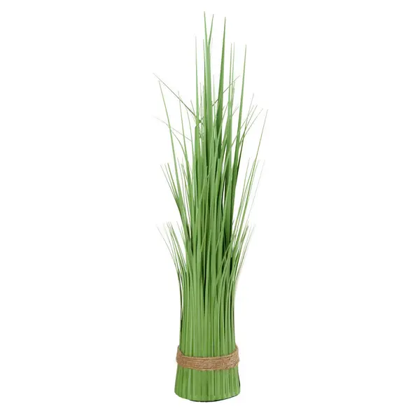 Iarbă Decorativă