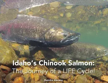 Idaho's Chinook Salmon: The Journey of a LIFE Cycle, Paperback/Deirdre A. Abrams