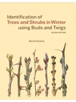 Identification of Trees and Shrubs in Winter using Buds and Twigs. New ed, Paperback/Bernd Schulz