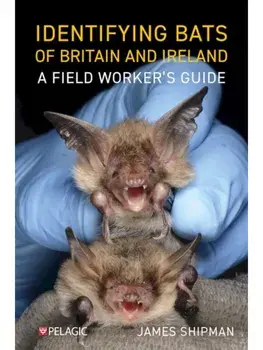 Identifying Bats of Britain and Ireland. A Field Worker’s Guide, Paperback/James Shipman