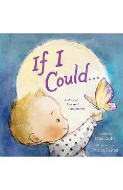 If I Could . . . - Matt Zurbo