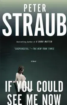 If You Could See Me Now, Paperback/Peter Straub